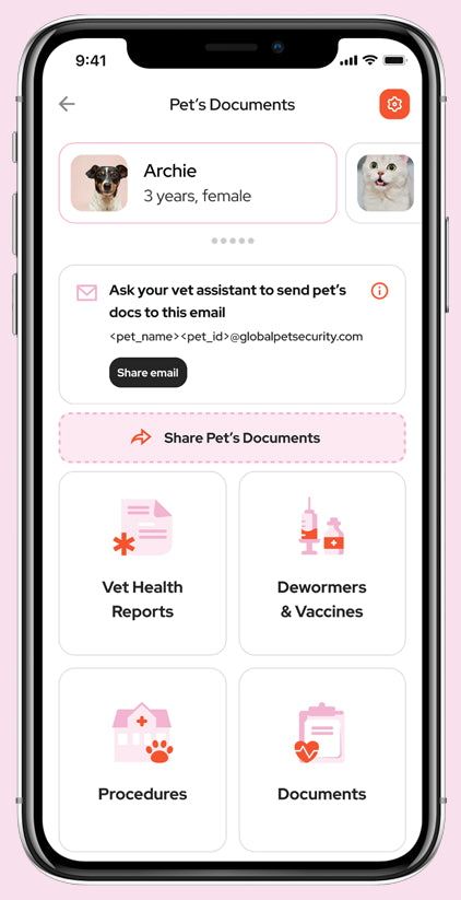 Create a Robust Pet Profile in the Tailr App