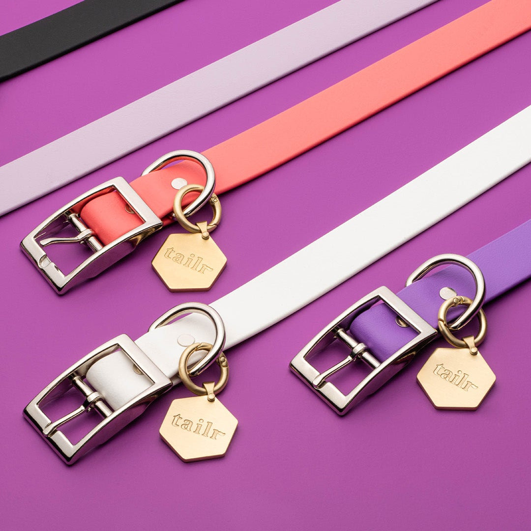 Tailr Premium BioThane Pet Collar