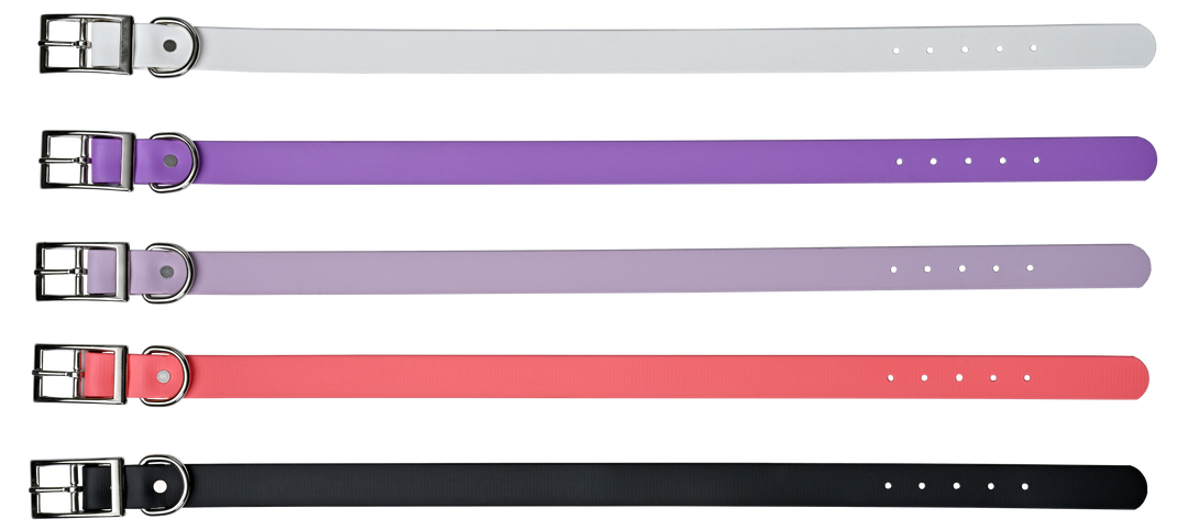 Tailr Premium BioThane Pet Collar