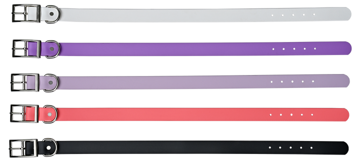 Tailr Premium BioThane Pet Collar