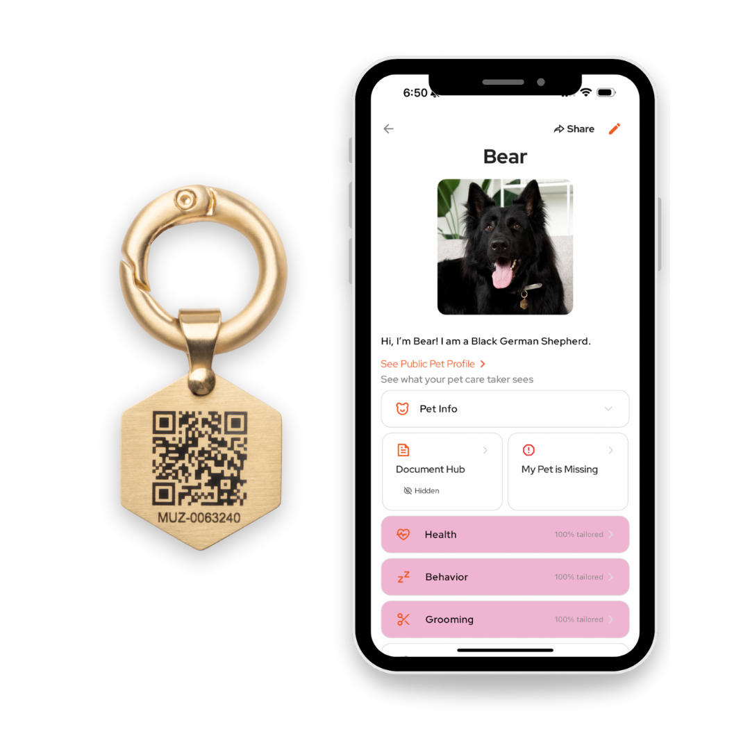 Tailr Classic QR Code Pet ID Tag