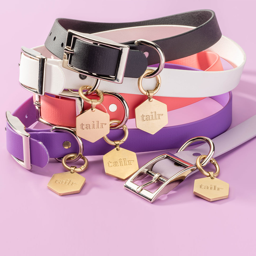Tailr Premium BioThane Pet Collar
