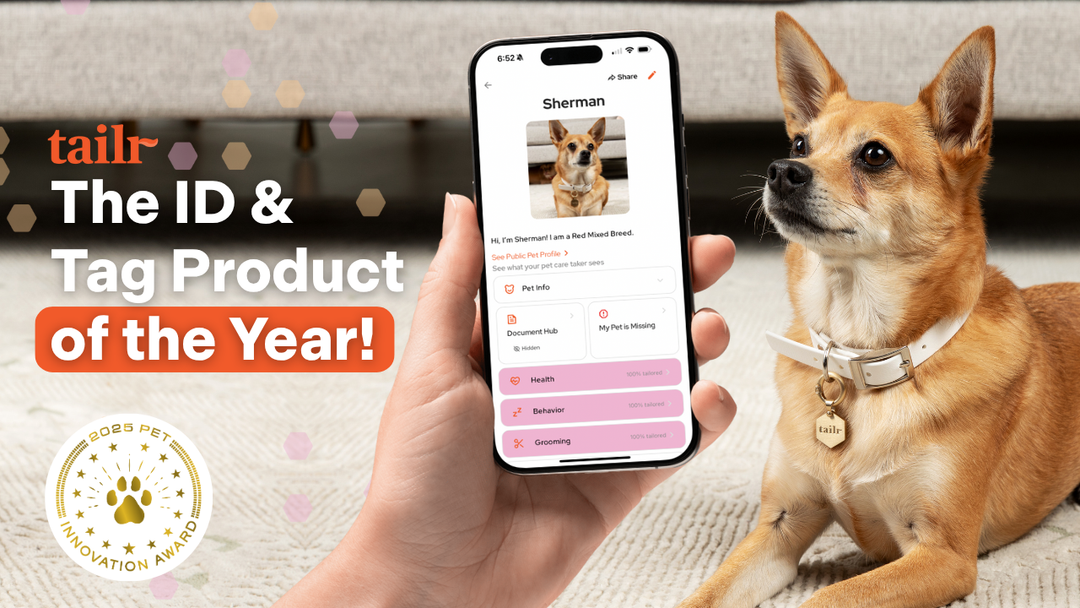 Yellow mid-sized dog laying on a cream rug in front of a couch and hand holding a phone with the Tailr app screenshot reading The ID & tag product