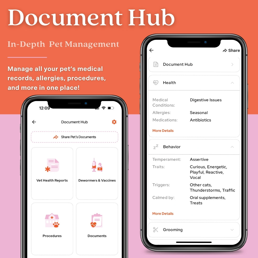 Tailr Classic QR Code Pet ID Tag