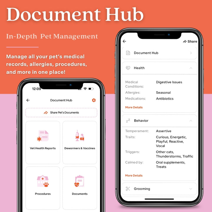 Tailr Classic QR Code Pet ID Tag