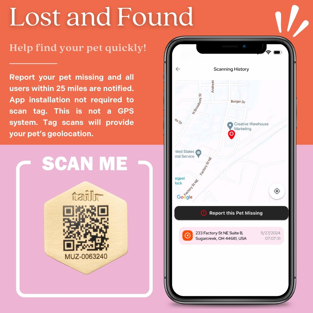 Tailr Classic QR Code Pet ID Tag