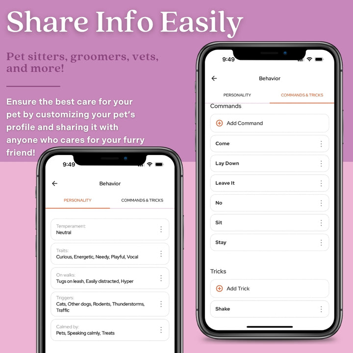 Tailr Classic QR Code Pet ID Tag