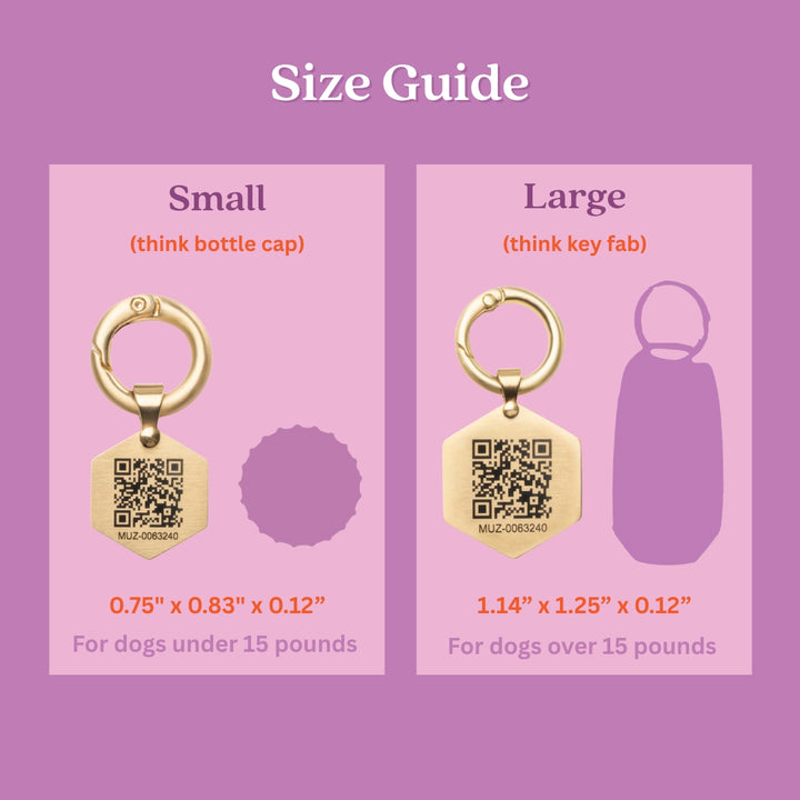 Tailr Classic QR Code Pet ID Tag