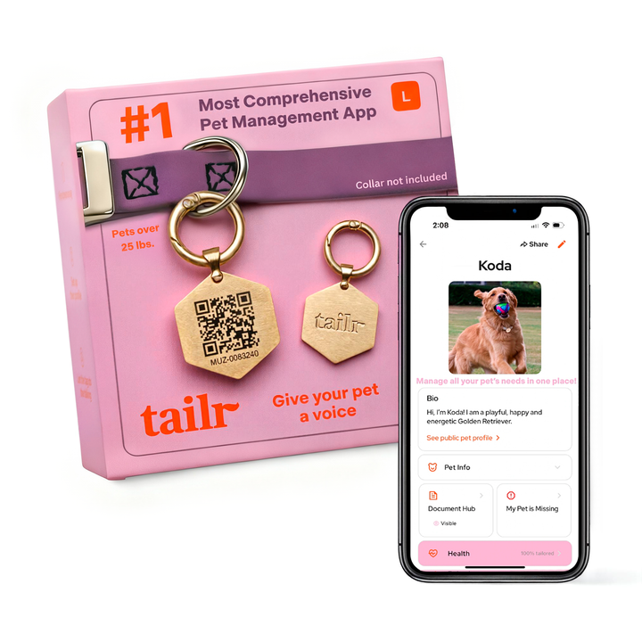 Tailr Classic QR Code Pet ID Tag