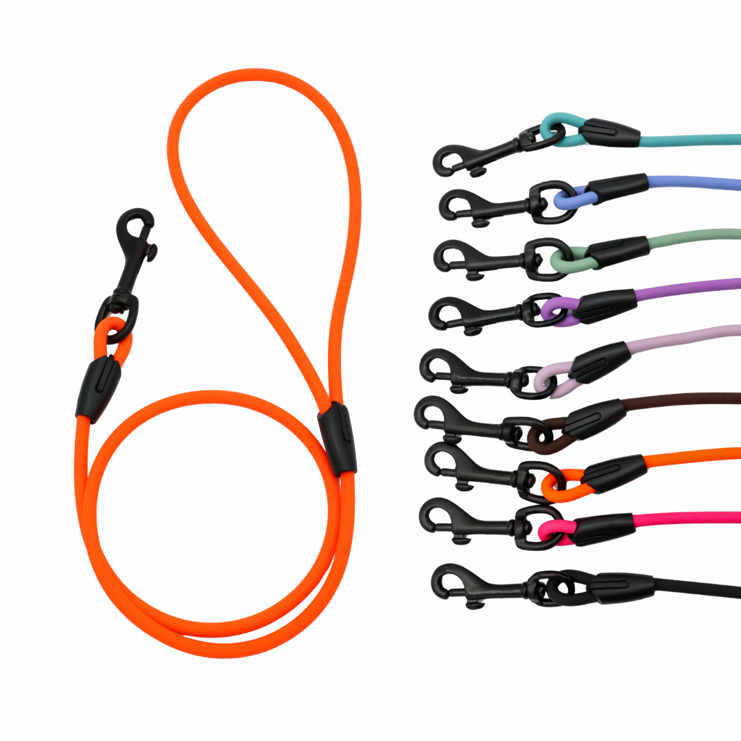 4 ft. BioThane Rope Leash