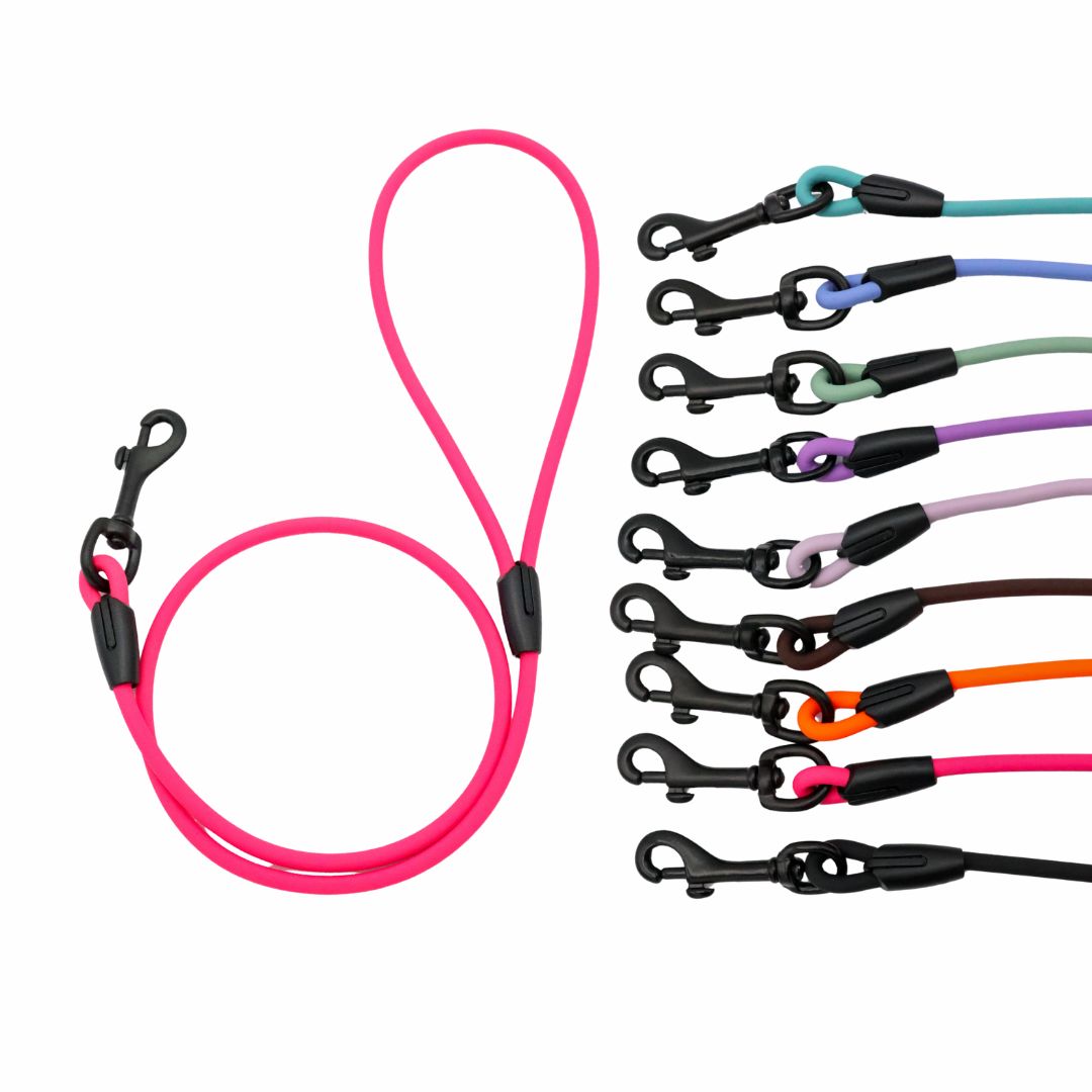4 ft. BioThane Rope Leash