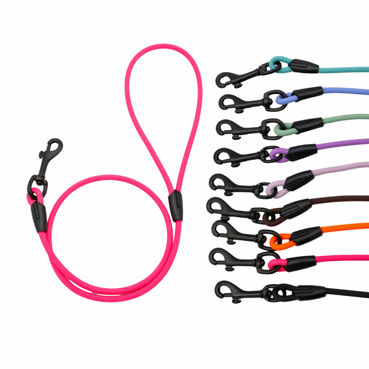 4 ft. BioThane Rope Leash