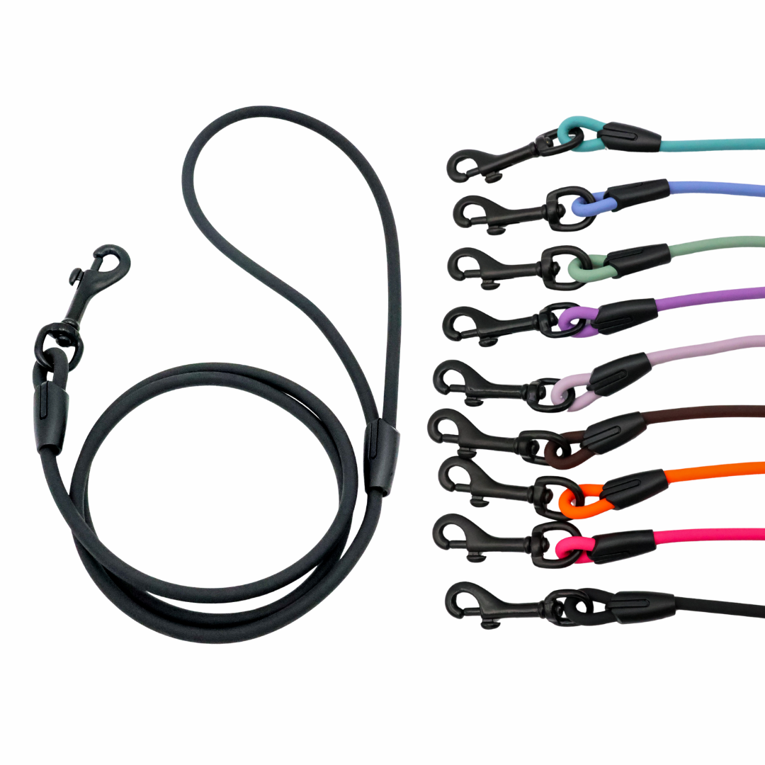 4 ft. BioThane Rope Leash