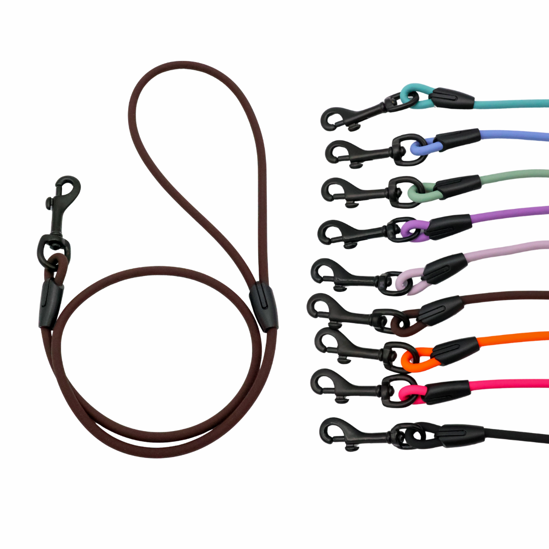 4 ft. BioThane Rope Leash