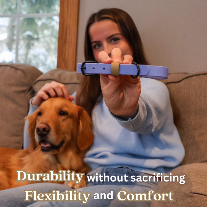 Waterproof & Odor-Resistant Multi-Color Dog Collar