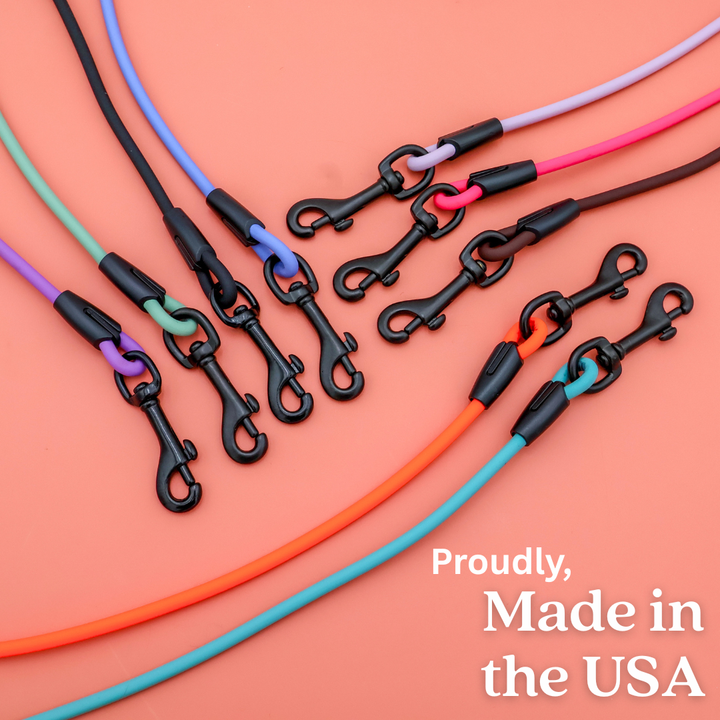 4 ft. BioThane Rope Leash