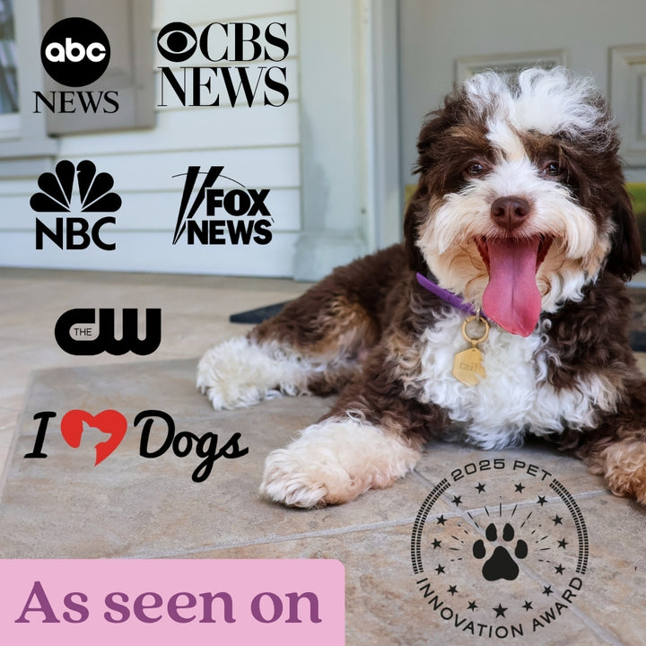 Tailr Classic QR Code Pet ID Tag