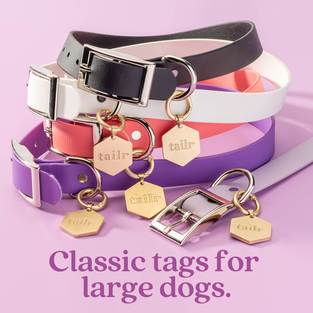 Tailr Large Classic QR Pet ID Tag