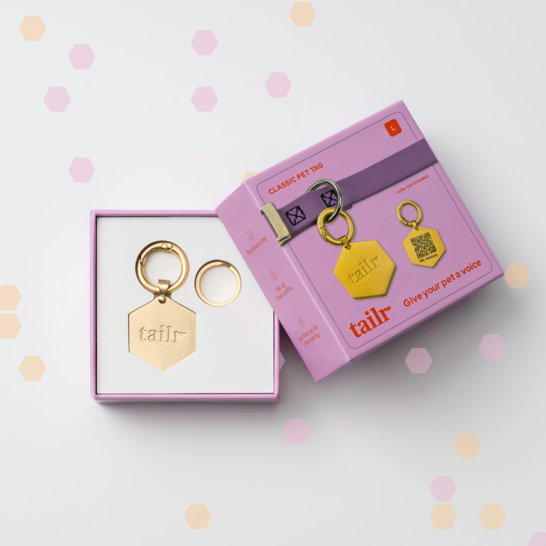 Tailr Large Classic QR Pet ID Tag