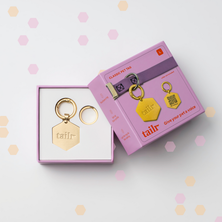 Tailr Large Classic QR Pet ID Tag