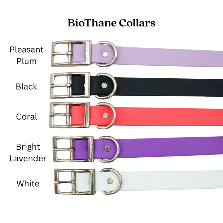 BioThane Collar
