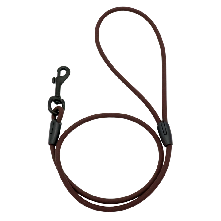 4 ft. BioThane Rope Leash