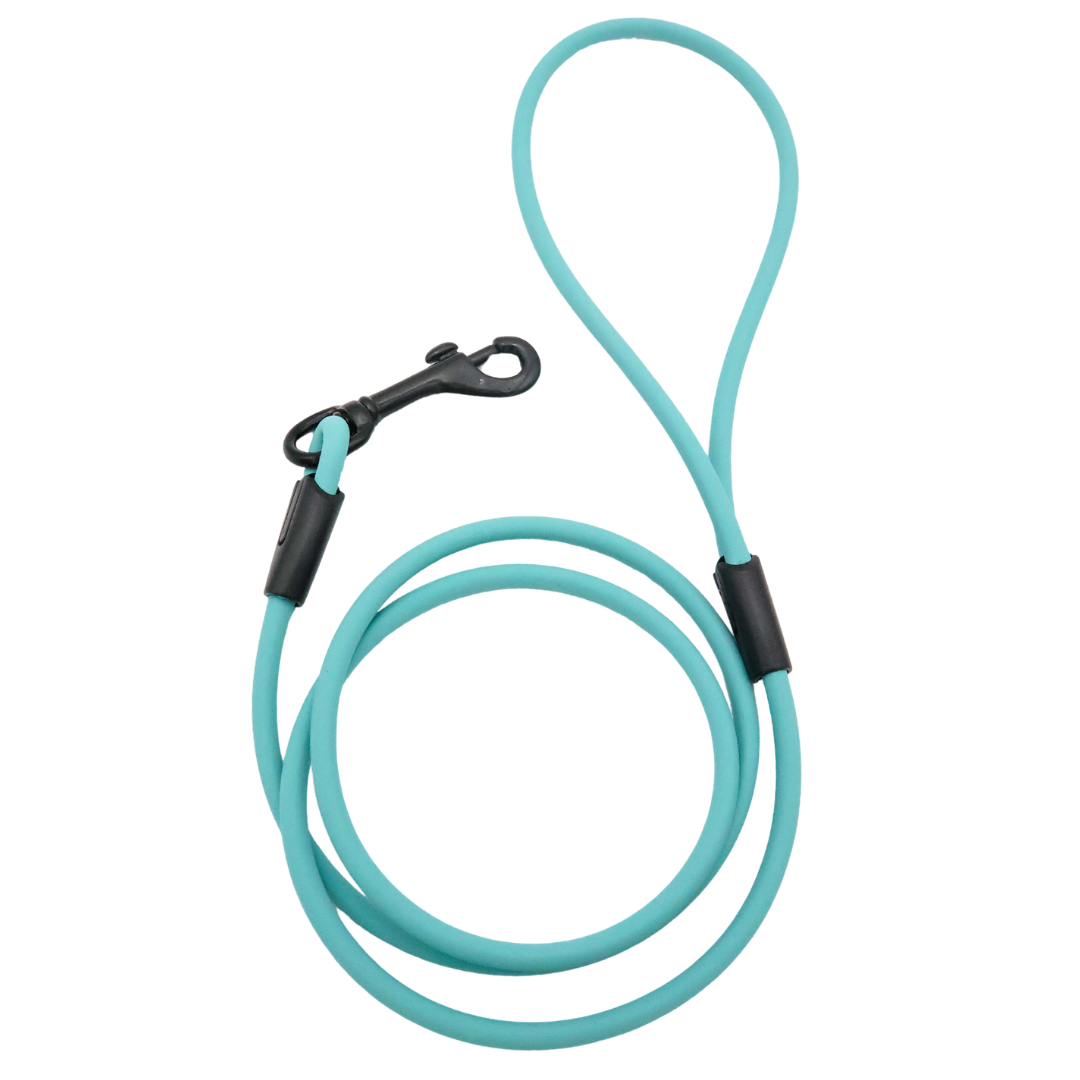 4 ft. BioThane Rope Leash