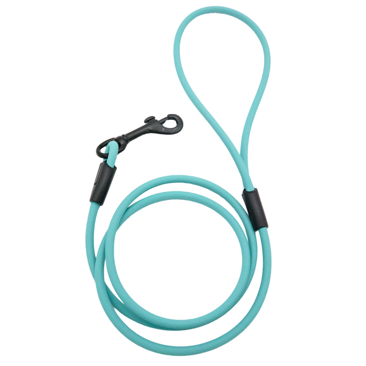 4 ft. BioThane Rope Leash