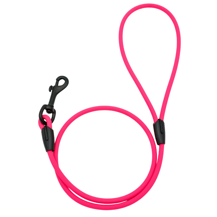 4 ft. BioThane Rope Leash