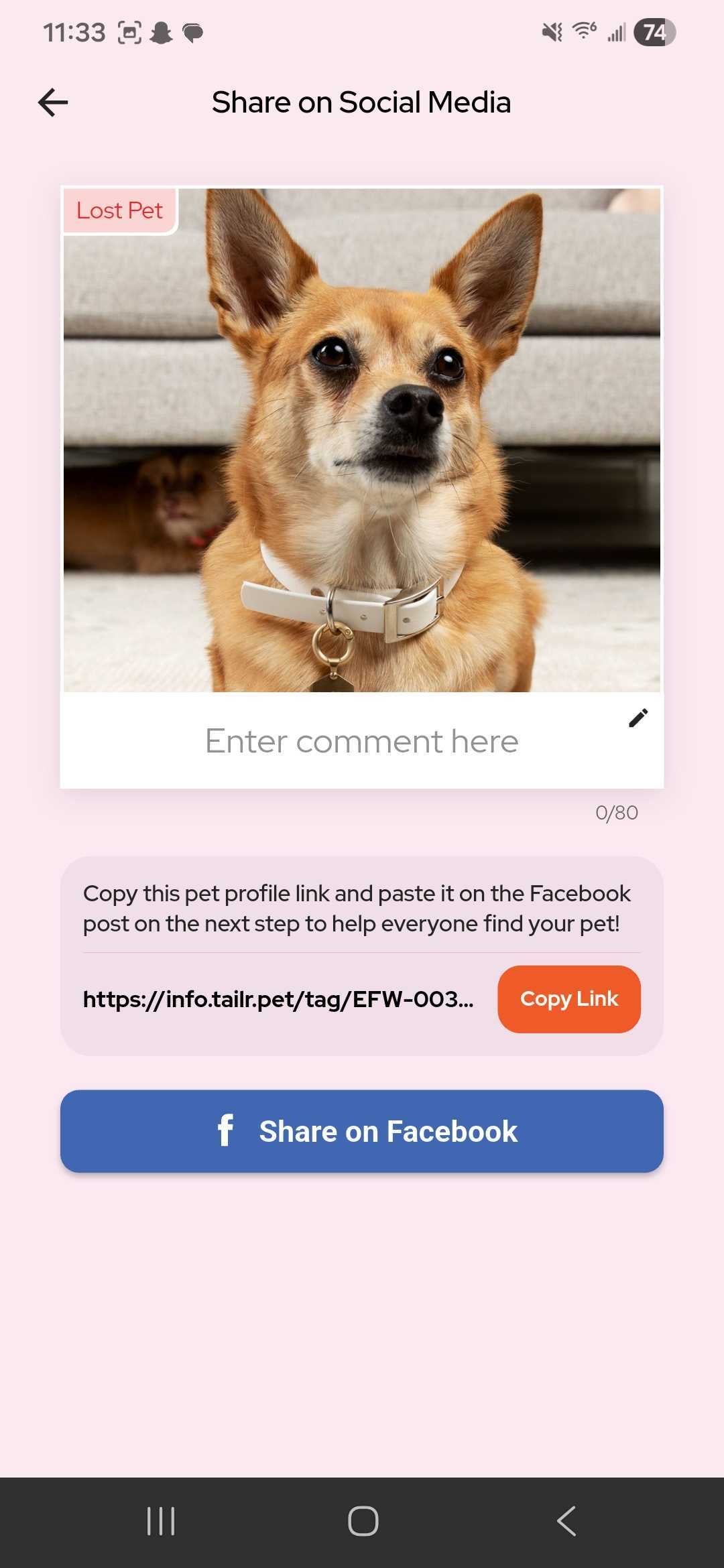 Tailr app scan alert screen