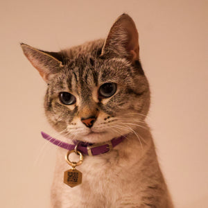 "She finally has a voice."