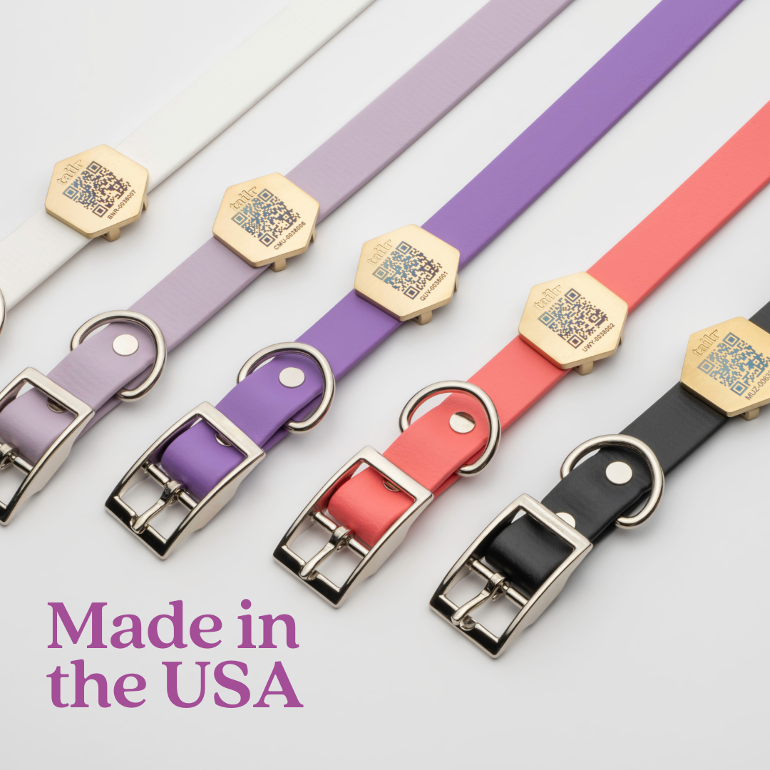 Tailr Premium BioThane Pet Collar