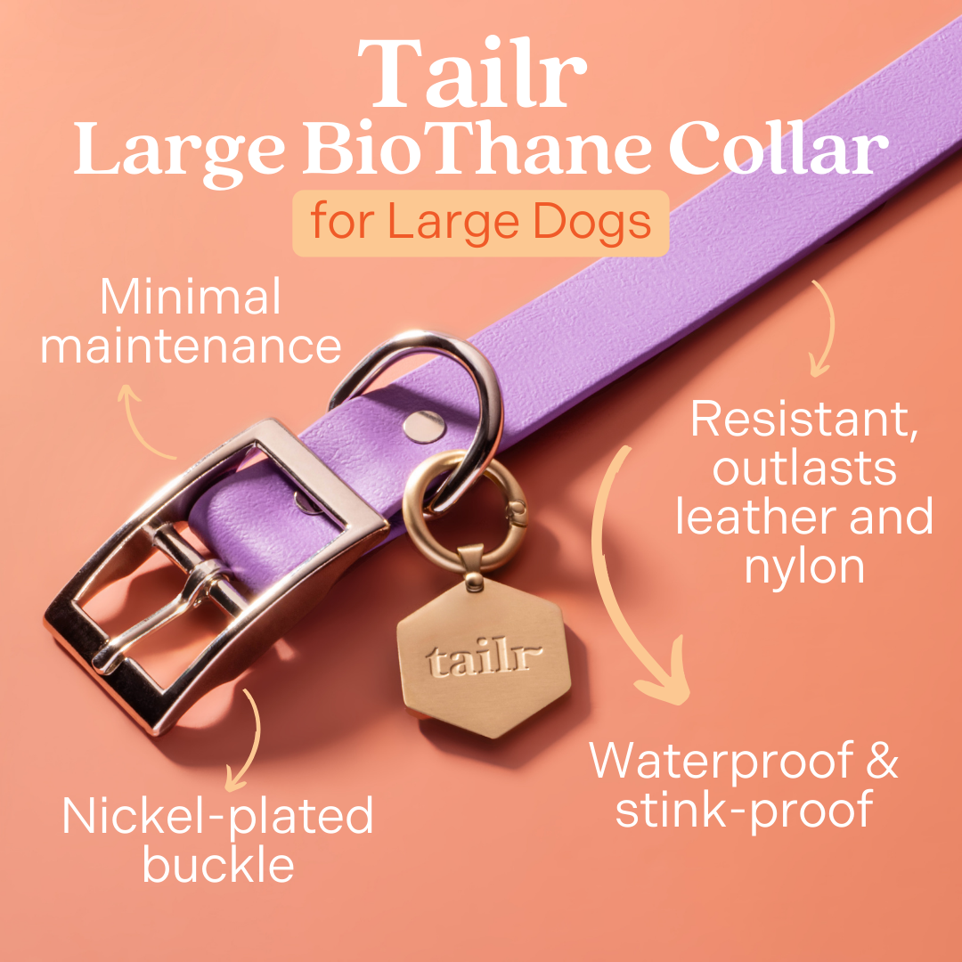 Tailr Premium BioThane Pet Collar