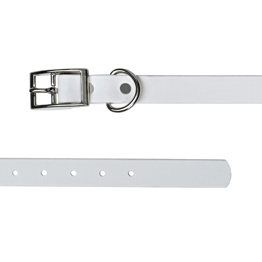Tailr Premium BioThane Pet Collar