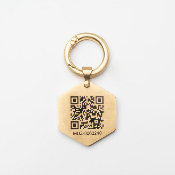 Tailr Large Classic QR Pet ID Tag