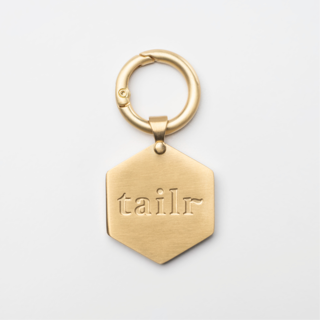 Tailr Large Classic QR Pet ID Tag