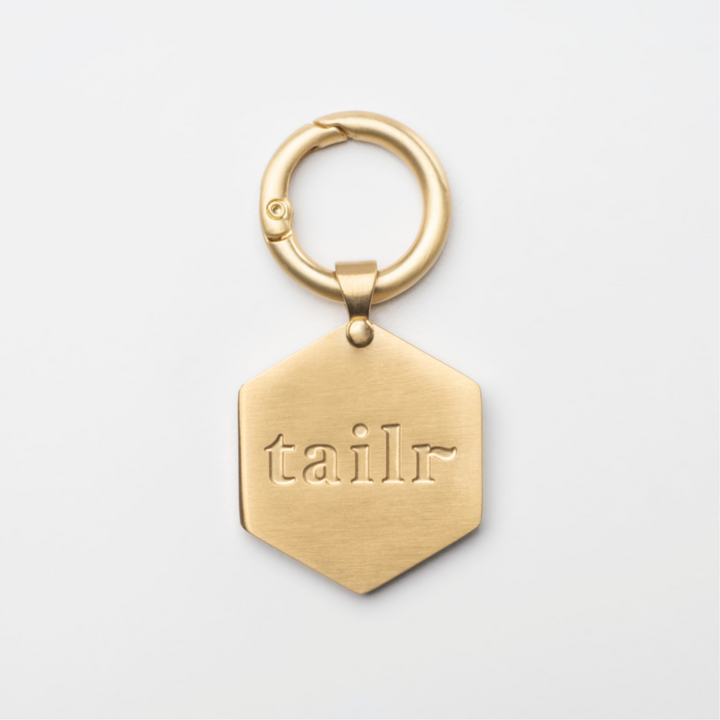 Tailr Large Classic QR Pet ID Tag