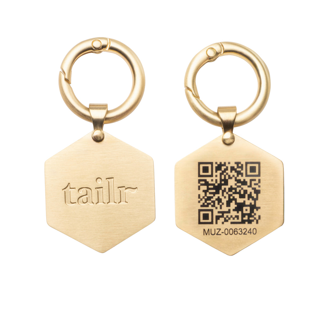 Tailr Large Classic QR Pet ID Tag