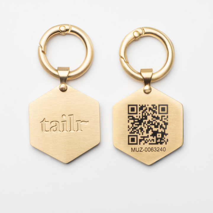 Tailr Large Classic QR Pet ID Tag