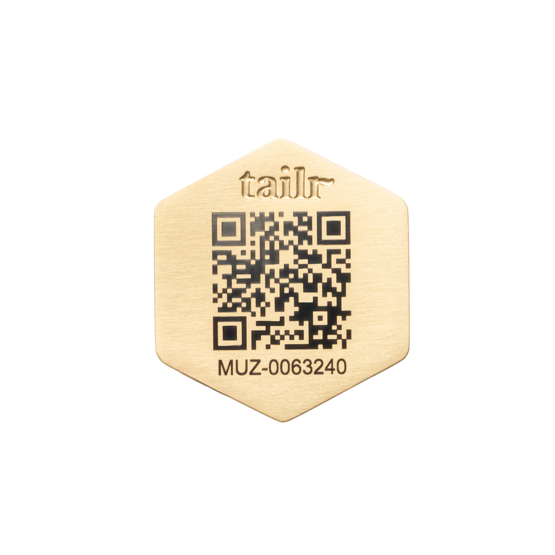Tailr Slide-On QR Code Pet ID Tag