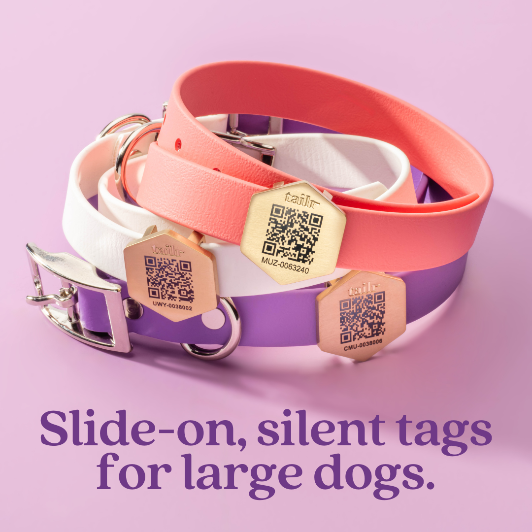 Tailr Slide-On QR Code Pet ID Tag