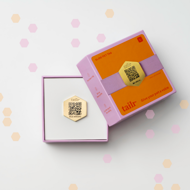 Tailr Slide-On QR Code Pet ID Tag