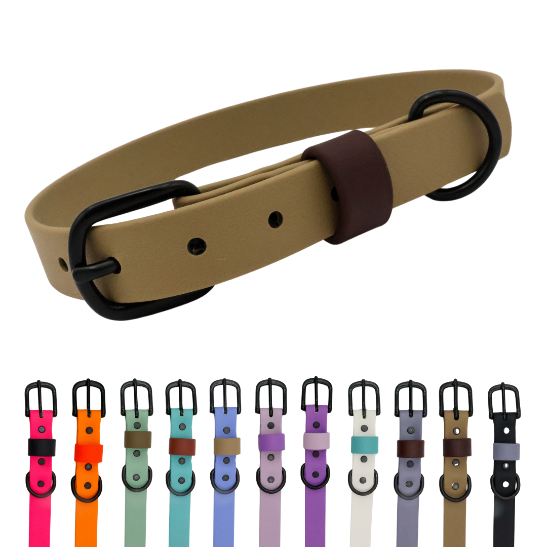 Waterproof & Odor-Resistant Multi-Color Dog Collar