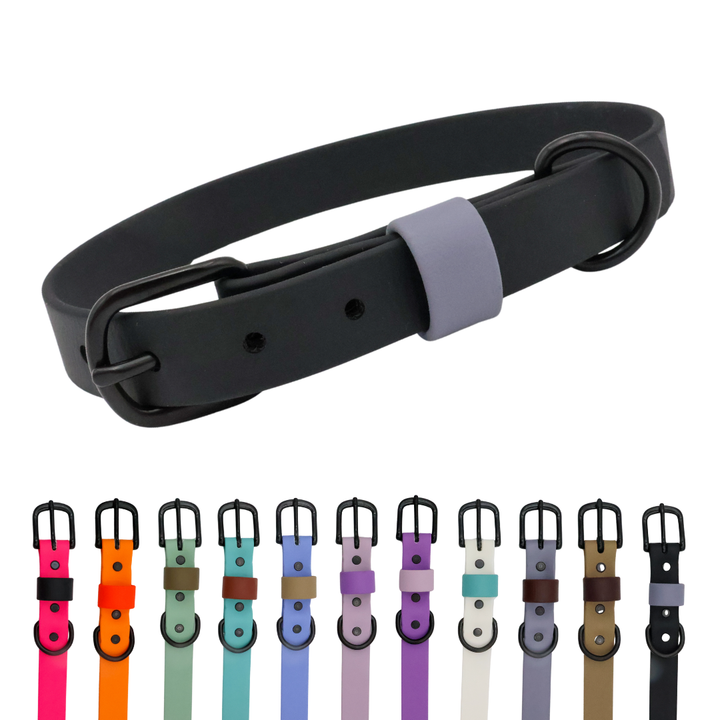 Waterproof & Odor-Resistant Multi-Color Dog Collar
