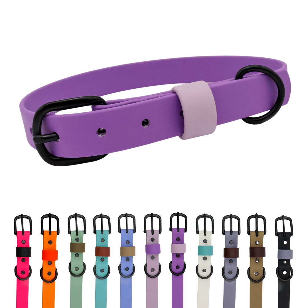 Waterproof & Odor-Resistant Multi-Color Dog Collar