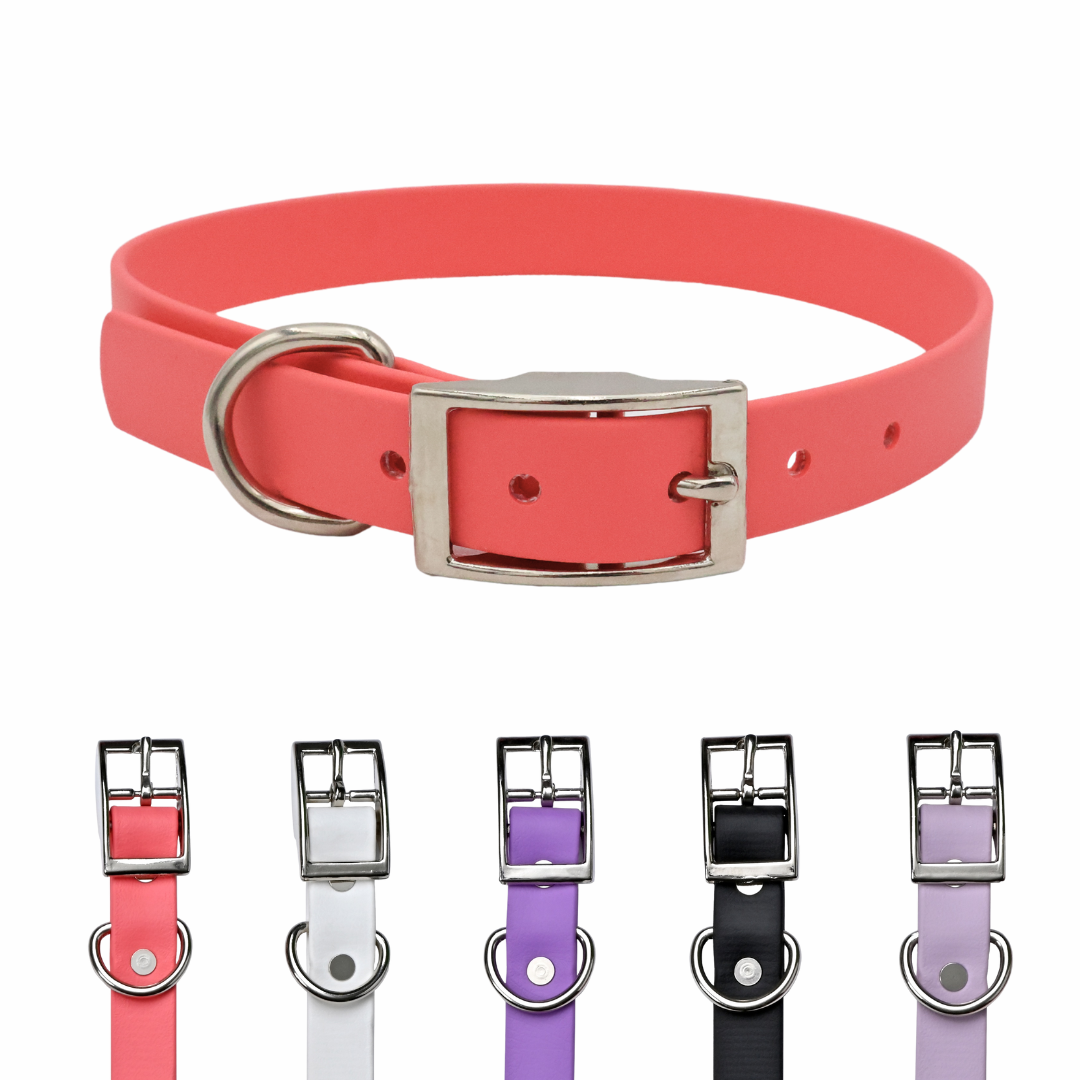Waterproof & Odor-Resistant Collar