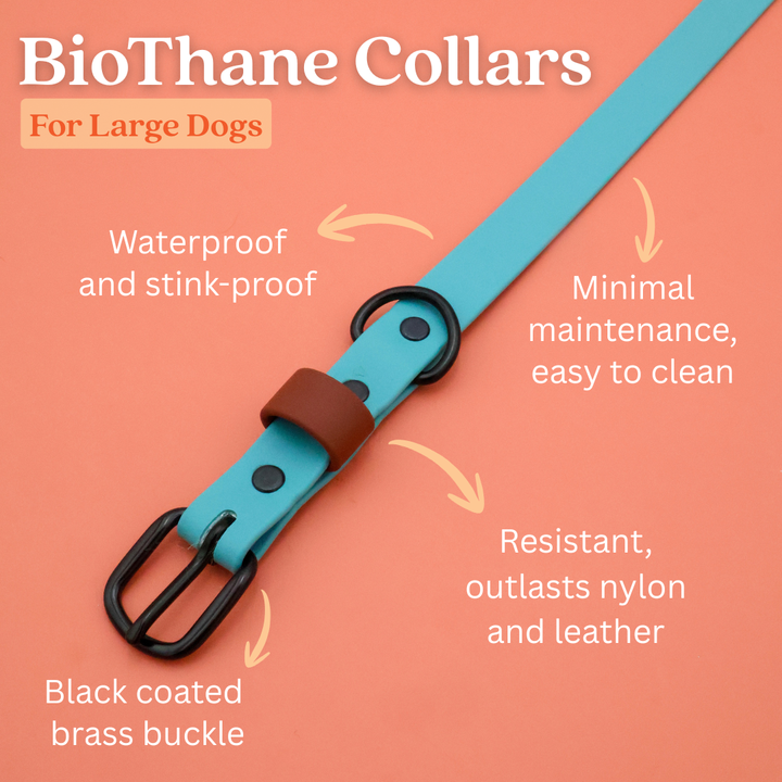Waterproof & Odor-Resistant Multi-Color Dog Collar