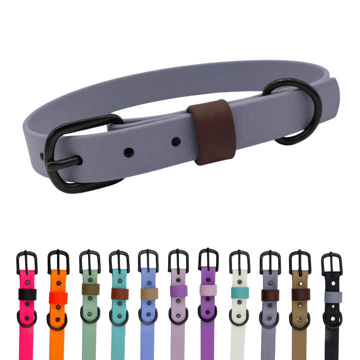 Waterproof & Odor-Resistant Multi-Color Dog Collar