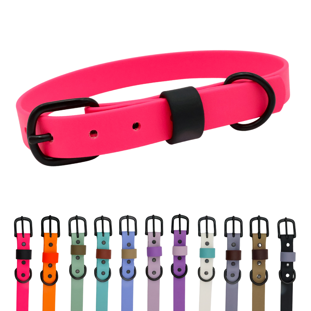 Waterproof & Odor-Resistant Multi-Color Dog Collar