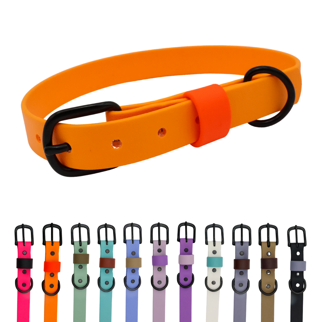 Waterproof & Odor-Resistant Multi-Color Dog Collar